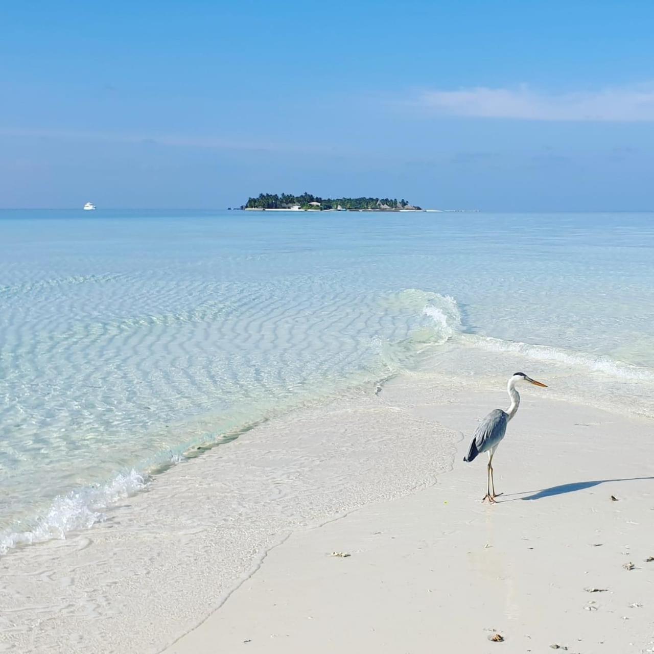 Ukulhas Villa Beach Hotel Экстерьер фото